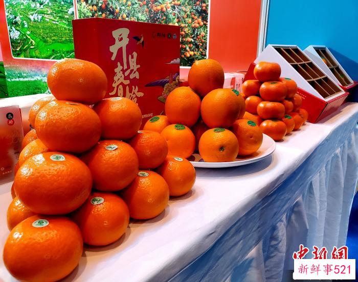 图为3月21日2023热博会现场，正当季的重庆“开县春橙”。　王晓斌 摄