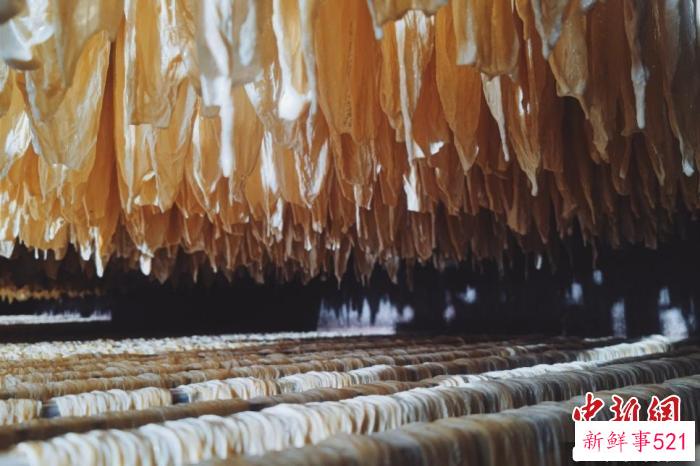因为家庭小厂房的普及，清流豆腐皮年产量达到了6000多吨，产值超过3亿元。　福建省电视台综合频道 供图