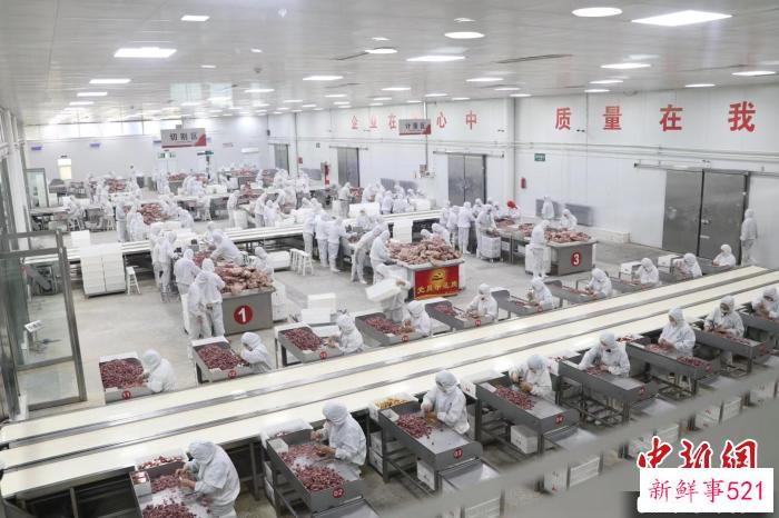 山西省平遥牛肉集团有限公司生产车间。　　张丽 摄