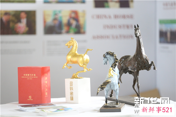 2023国际纳乌鲁孜节暨中土青年友谊马场揭牌仪式在京举行