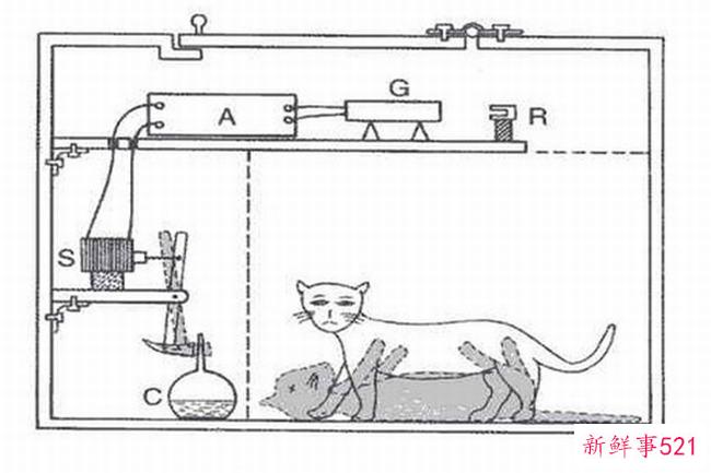 薛定谔的猫为什么会吓到薛定谔的猫？实验是什么？
