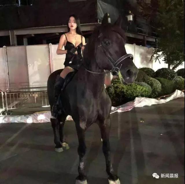 马路当秀场，着装性感女子深夜在市中心主干道骑马，被罚！