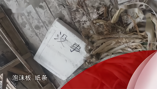 2016年，黑龙江16岁少女虐母致死，竟称：我不后悔，帮凶也有错