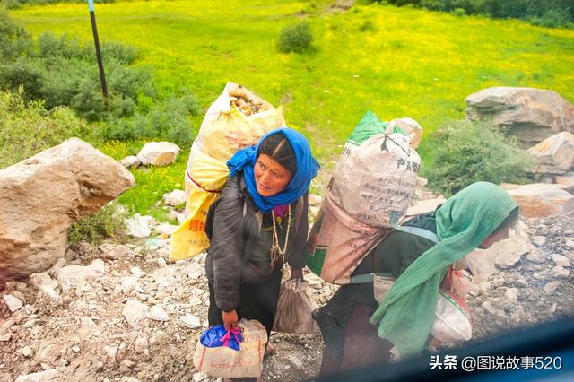 海拔3200米负重50斤，高原上的甘肃女人，太能干了