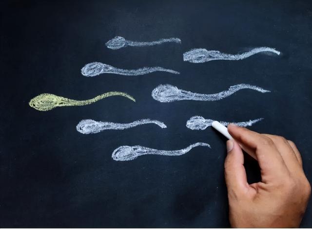同房后，精子在女性体内能活多久？这可关系到怀孕