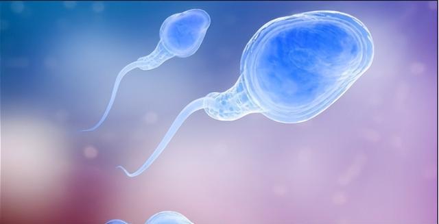 生男生女取决于精子？科学家发现卵子也有选择权，但结果却很意外