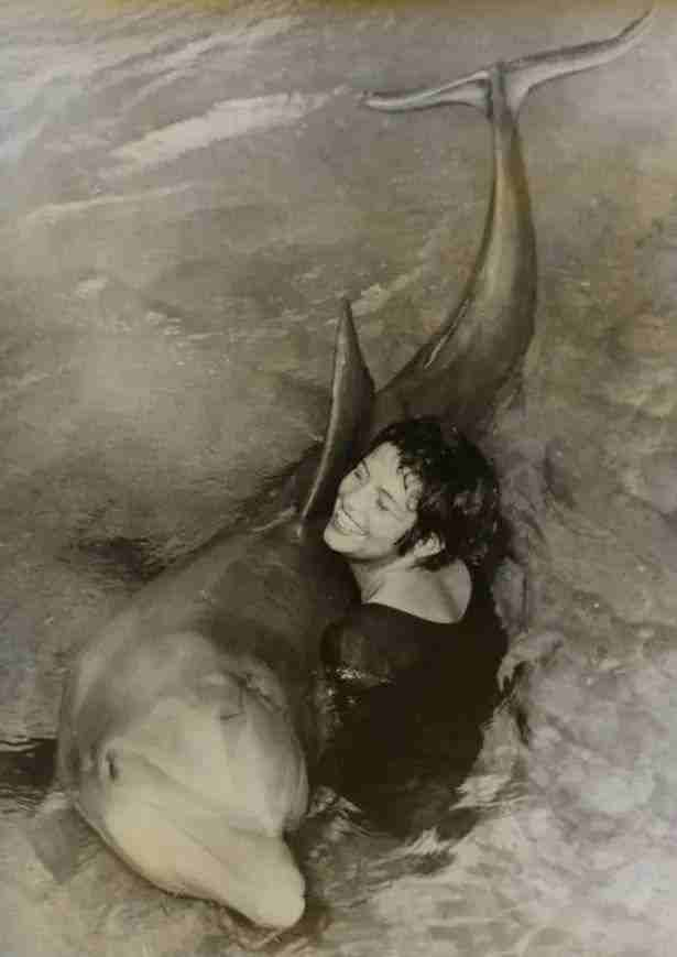 1963年美国秘密实验，海豚爱上女志愿者产生冲动，最后被残忍处理