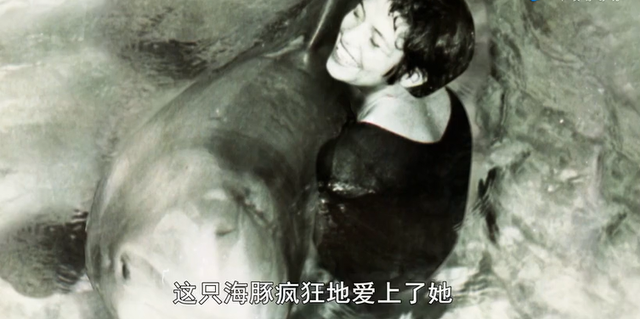 1963年美国秘密实验，海豚爱上女志愿者产生冲动，最后被残忍处理