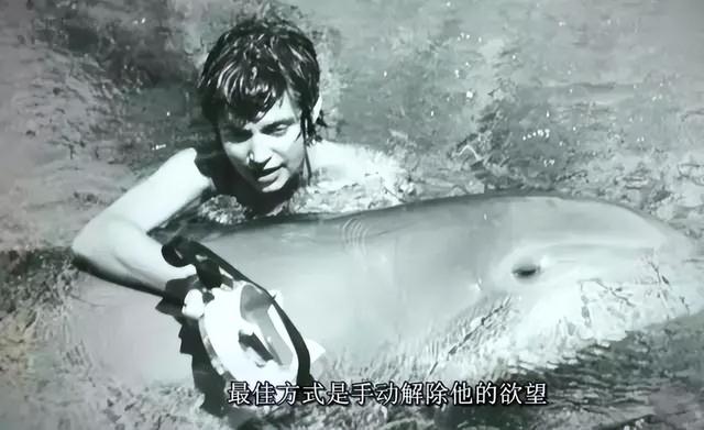 1963年美国秘密实验，海豚爱上女志愿者产生冲动，最后被残忍处理