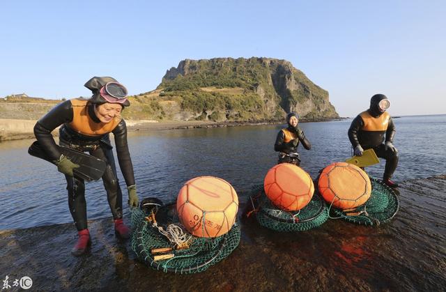 这些韩国女性被称为海洋女性，能在海水中屏住两分钟呼吸采集鲍鱼