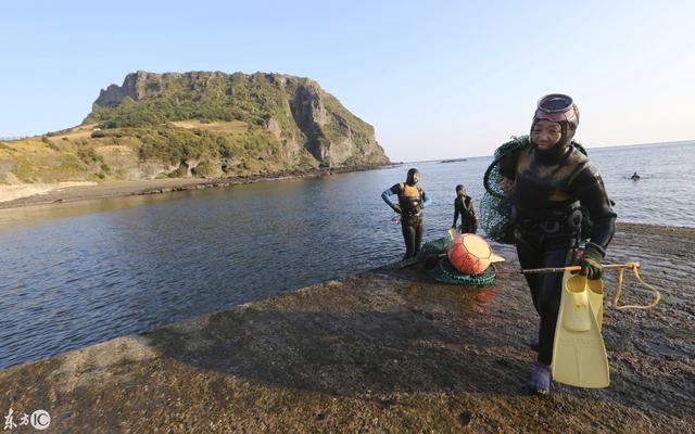 这些韩国女性被称为海洋女性，能在海水中屏住两分钟呼吸采集鲍鱼