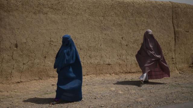 塔利班禁止女孩上大学后，又下令非政府组织禁止女性员工上班