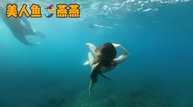 霍思燕穿泳装水下潜泳，身体柔软四肢纤细，姿势优美宛如美人鱼