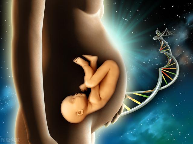 人类部分精子会得卵子“偏爱”，卵子要给心仪的精子“开后门”？