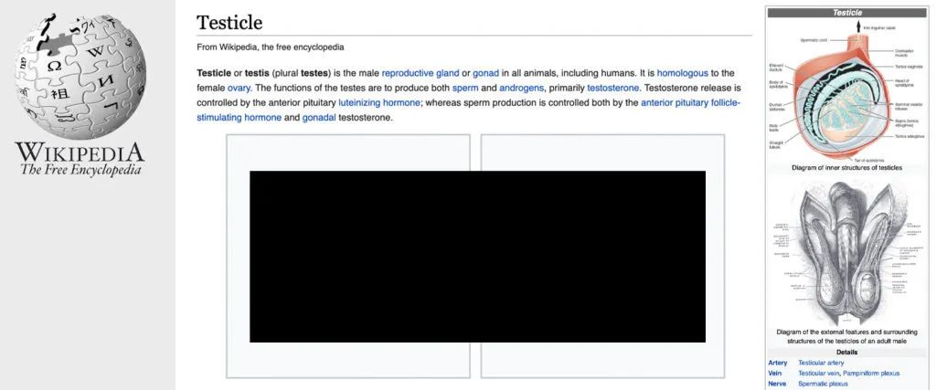 维基百科里的几千个蛋图都是哪儿来的？