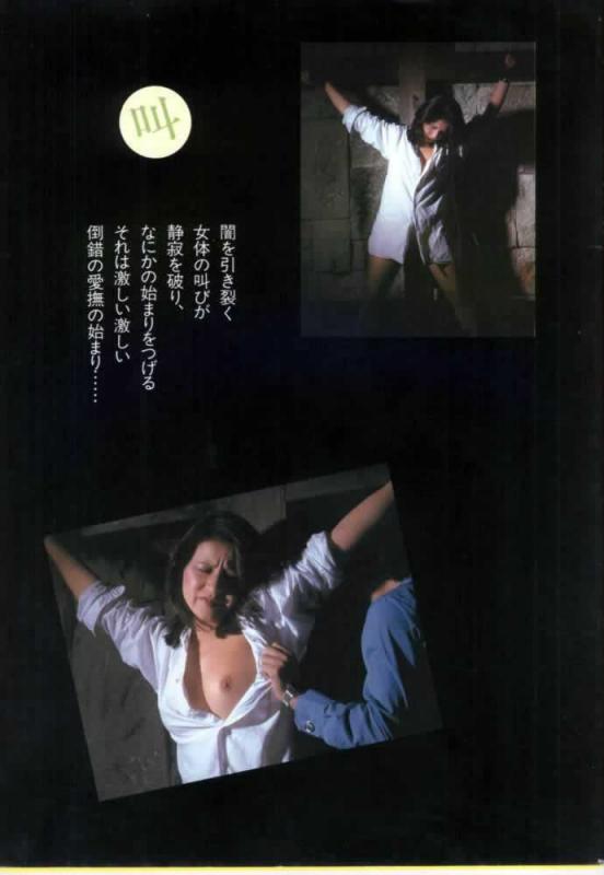 1981年日本SM写真：SM穴狱，丰满女优被绑成各种造型