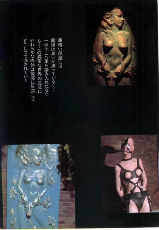 1981年日本SM写真：SM穴狱，丰满女优被绑成各种造型