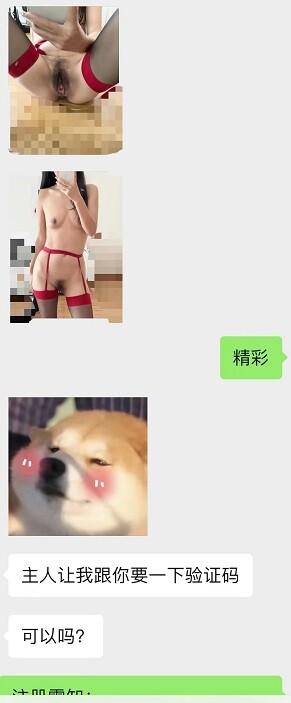 初入SM圈的性奴人妻